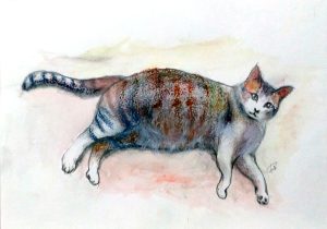 tora2014