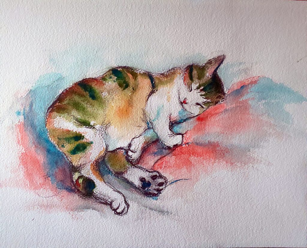 Nap : Watercolor